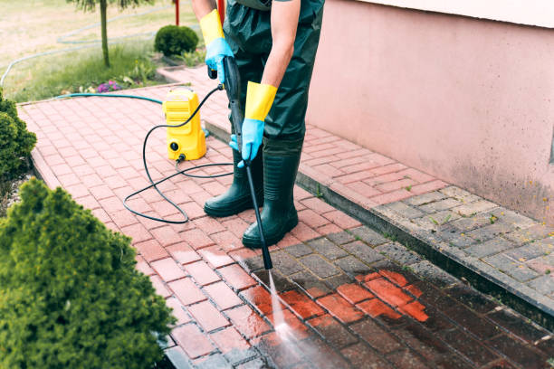 Best Roof Pressure Washing  in Lake Village, AR