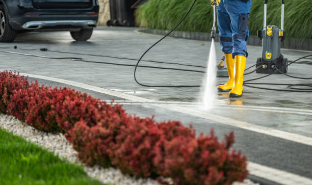 Professional Pressure Washing in Lake Village, AR