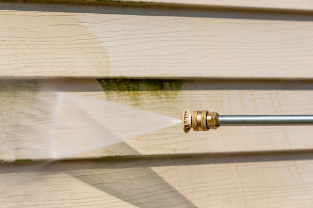 Best Pressure Washing Company Near Me  in Lake Village, AR